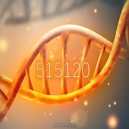 创新药指数投资