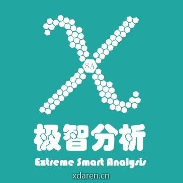 极智分析
