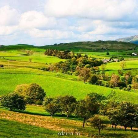 百态人生大观澜