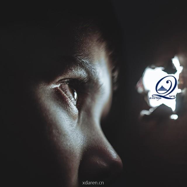 ARVO INSIGHT 价值洞察