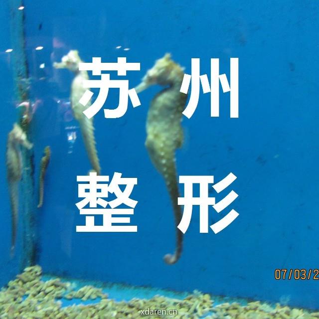 医美张治华