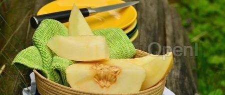 朱啸虎押注的AI公司被围攻：领导多次让员工“去死”；小红书激励不再与职级挂钩；谷歌前CEO：AI创业可先“偷”后处理｜AI周报