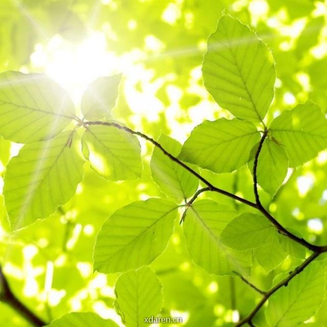 从百草园到五味书屋