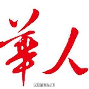 全球华人洞察