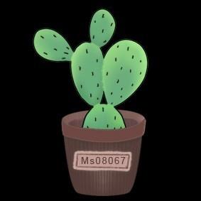 Ms08067安全实验室