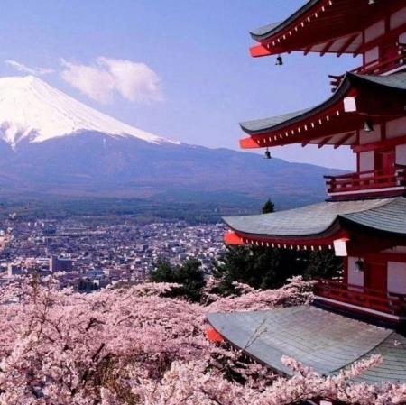 为什么全球的 AI 公司都想去日本市场?