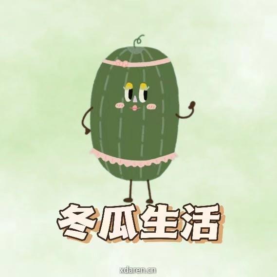 冬瓜生活