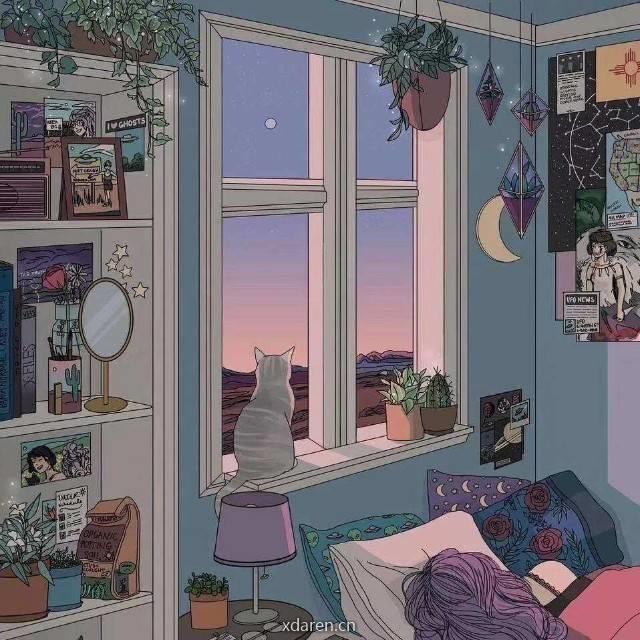 和阿猫一起成长