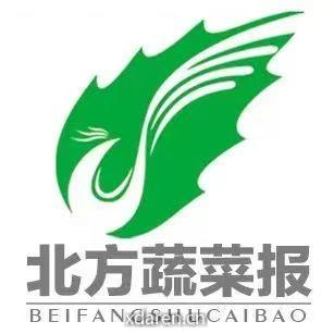 北方蔬菜报官微