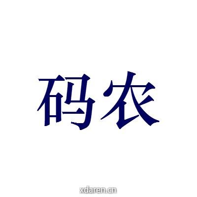 码农code之路