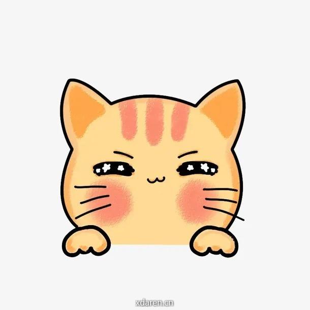 陈土猫