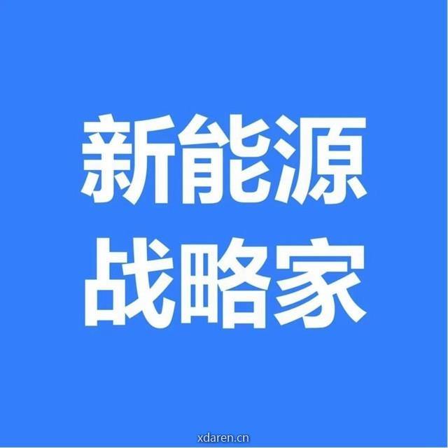 新能源战略家