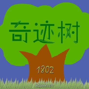 奇迹树班的故事