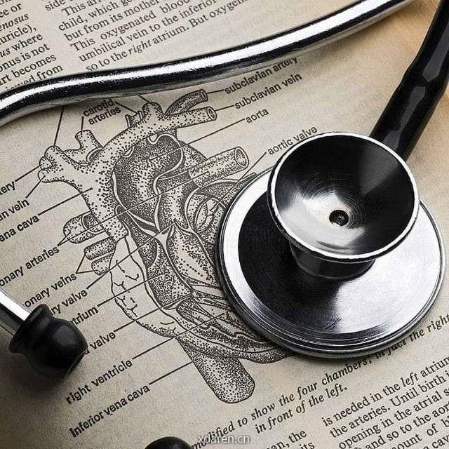 HepatSurg肝途