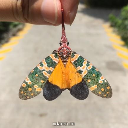 土拨鼠小卖部