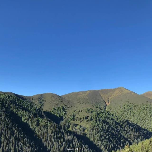 慈诚罗珠堪布慧灯之光系列