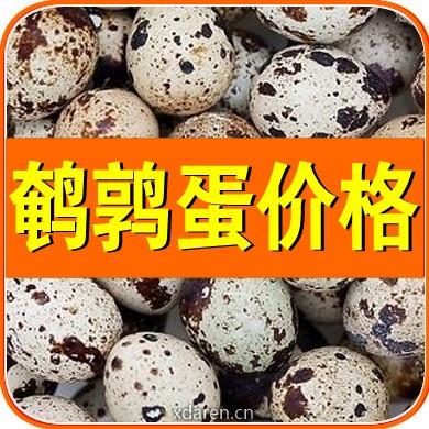 鹌鹑蛋价格