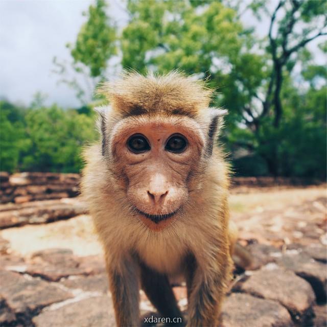 苏南下