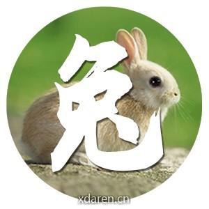生肖兔运势大全