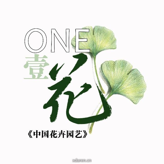 ONE花