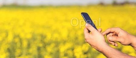 微软如何完成AI转型?微软中国CTO韦青亲述:我们需要的不是一个无所不知的模型