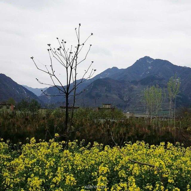 芥子时空