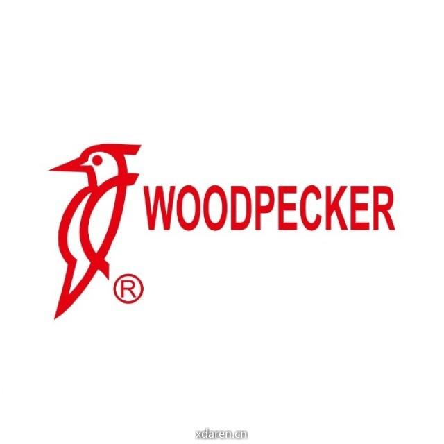 啄木鸟Woodpecker