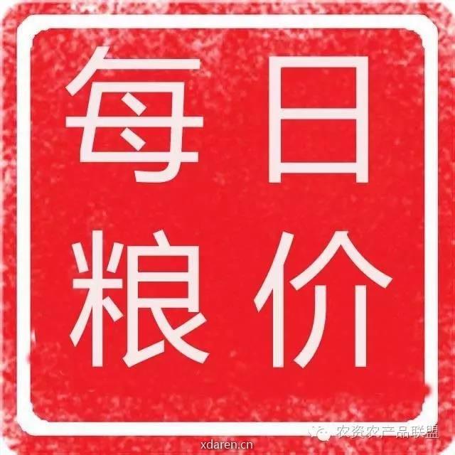 每日粮价
