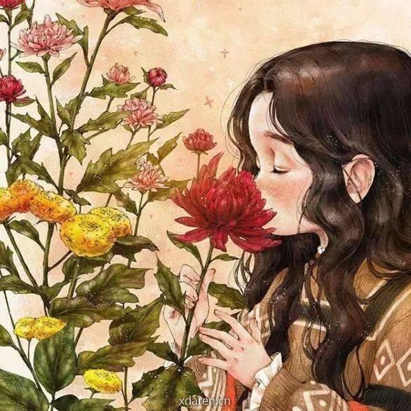 丁老师花匠手记