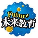 未来计算机二级Office