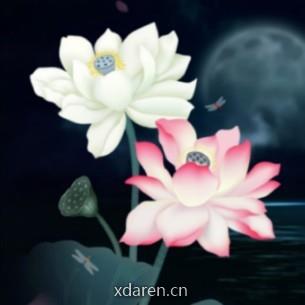 开示悟入妙菩提