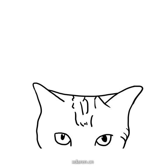 猫十一摄影工作室