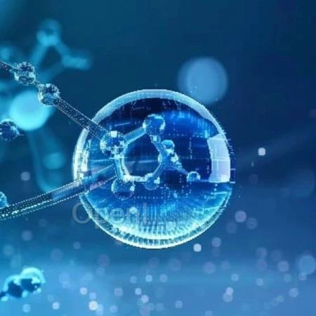 2.5天完成1年的MD计算?DeepMind团队基于欧几里得Transformer的新计算方法