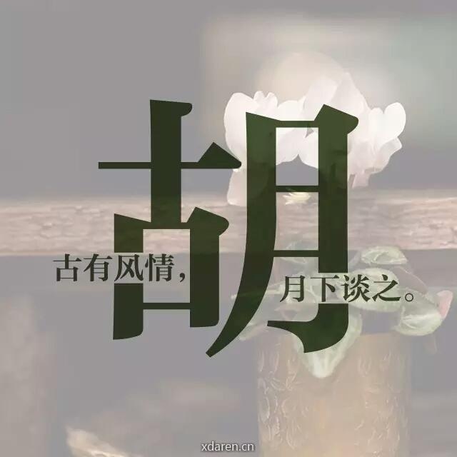 胡说围城