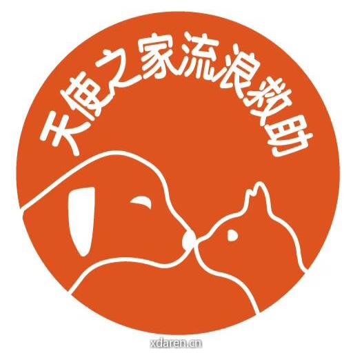 镇江天使之家流浪救助