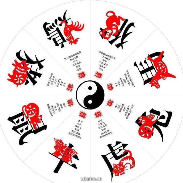 十二生肖运势大解密