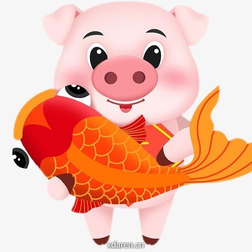 养猪资讯网