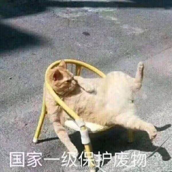 保护我方艾力