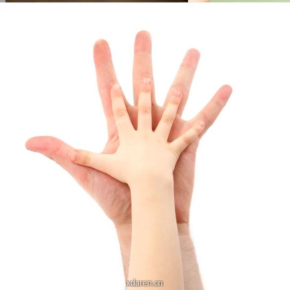 浙江省立同德医院生殖免疫科