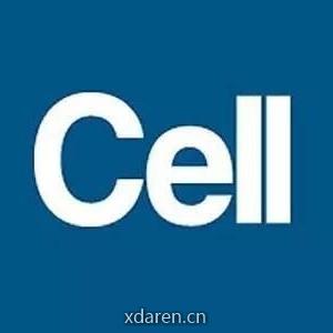 转化与基础研究