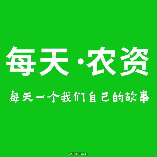 每天农资