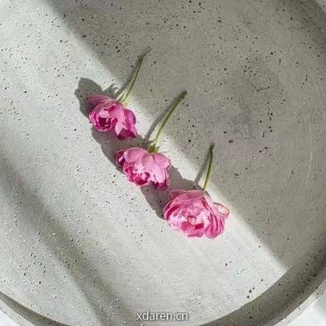 知行研究