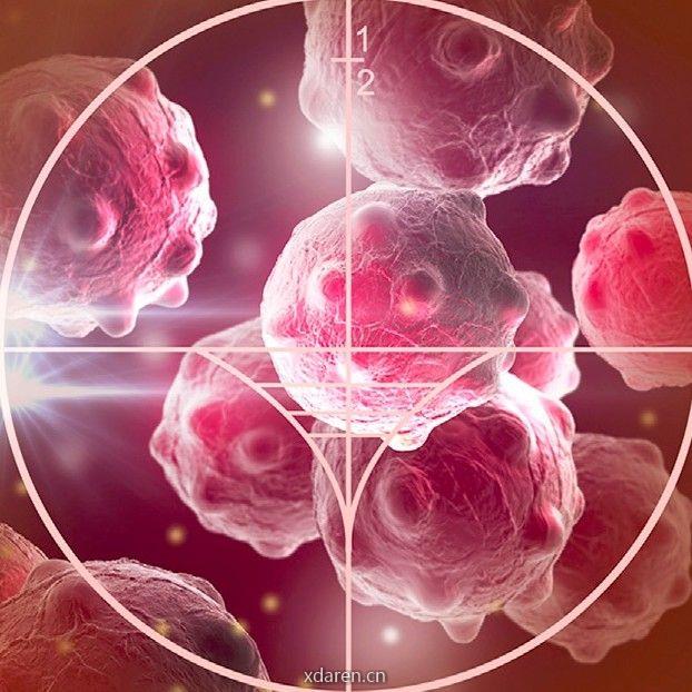 Diamond不是王老五