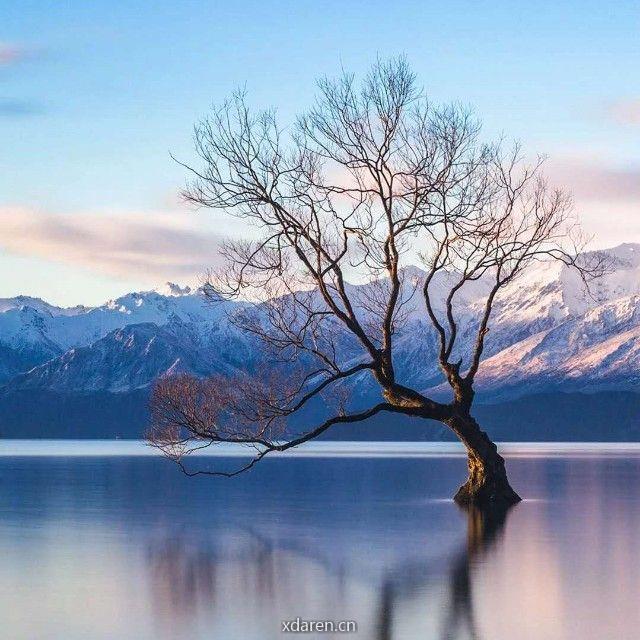 数据处理与分析