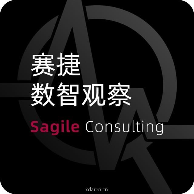 赛捷数智观察