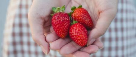 不发 GPT-5、直接上 GPT-6?曝 OpenAI 新模型代号 Orion,目标“杀死”幻觉