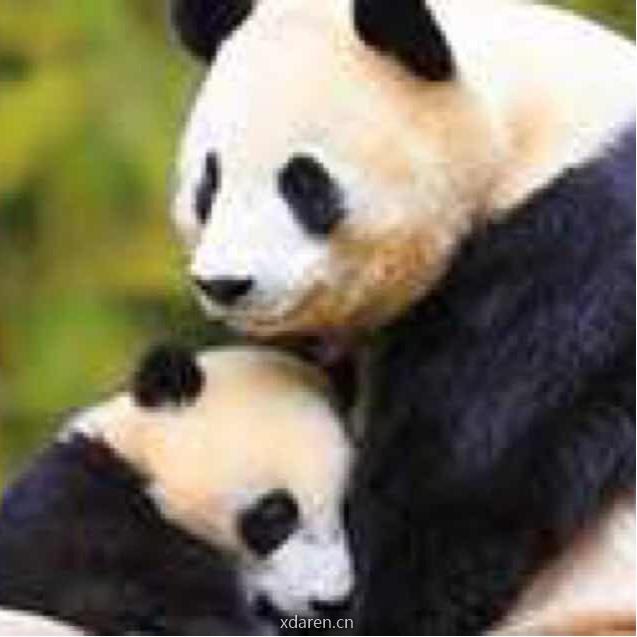 时间静默