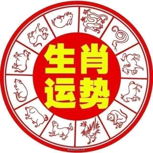 十二生肖运势解析