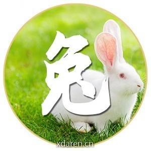 说说兔运