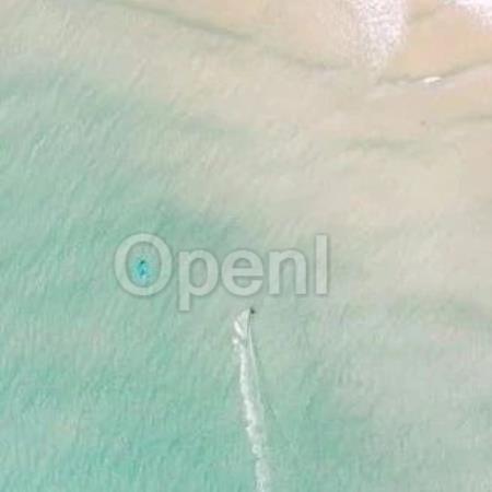 “从头开始训练模型,几乎没有意义”